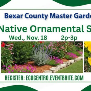 Event Graphic for Eco Centro's Texas Native Ornamental Shrubs Class