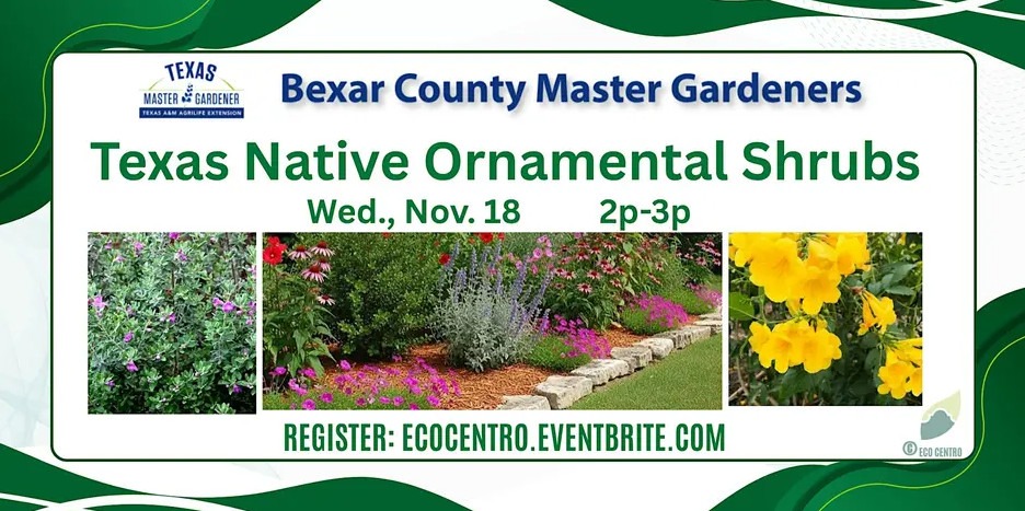 Event Graphic for Eco Centro's Texas Native Ornamental Shrubs Class