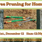Event Graphic for Eco Centro's Winter Tree Pruning for Homeowners workshop. Saturday, December 12th, 11 am-12:30 pm. Register at ecocentro.eventbrite.com