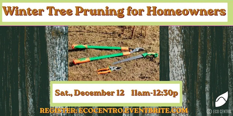 Event Graphic for Eco Centro's Winter Tree Pruning for Homeowners workshop. Saturday, December 12th, 11 am-12:30 pm. Register at ecocentro.eventbrite.com